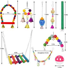 img 3 attached to 🦜 Enhance Your Bird's Entertainment with 12 Packs of Chewing Hanging Bell Parrot Swing Toys - Ideal for Small Parakeets, Conures, Love Birds, Cockatiels, Macaws, and Finches
