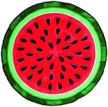 big mouth toys watermelon blanket logo
