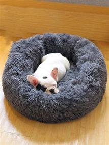 img 2 attached to 🐱 Vivi Bear Cat Bed Dog Bed: Round Pet Nest, Ultra-Soft and Comfortable, Cute Design, Washable Cat Cushion Bed, Oval Donut Nesting Cave Bed - Ideal for Cats and Small/Medium Dogs