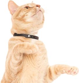 img 1 attached to 🐱 Nuvuq Black Pepper Soft and Lightweight Cat Collar with Safety Button for Optimal Comfort