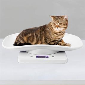 img 1 attached to 🐾 Portable Digital Pet and Kitchen Scale - Multifunctional Electronic Small Animal Weighing Tool for Cats and Dogs (10kg/1g)