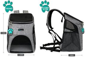 img 3 attached to 🐾 Premium Pet Carrier Backpack for Small Cats and Dogs - Ventilated Design, Safety Strap, Buckle Support - Ideal for Travel, Hiking & Outdoor Use - PetAmi