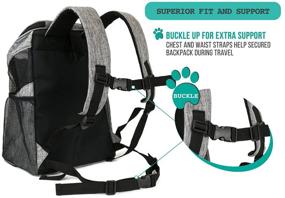 img 1 attached to 🐾 Premium Pet Carrier Backpack for Small Cats and Dogs - Ventilated Design, Safety Strap, Buckle Support - Ideal for Travel, Hiking & Outdoor Use - PetAmi