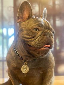 img 3 attached to 🐶✨ Stylish Custom Engraved 18K Gold Black Multicolor Slip-On Dog Chain Collar with Personalized ID Tags Necklace - Premium Stainless Steel Cuban Link - Ideal for Small to Medium Dogs