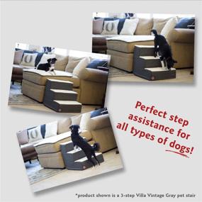 img 1 attached to 🐾 Convenient and Stylish Villa Aubergine Step Portable Pet Stairs for Cats and Dogs by Majestic Pet Products