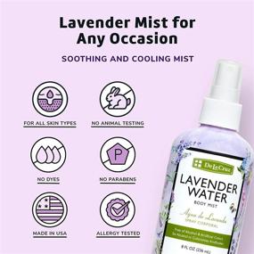 img 2 attached to Revitalize Your Senses with De La Cruz Lavender Water Body Mist - Skin and Hair Lavender Spray Enhanced with Pure Lavender Essential Oil 8 fl oz (236 mL)