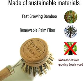 img 2 attached to 🧽 Larga Vitae 6-Pack Renewable Bamboo Wood Dish Brush Heads with Natural Bristle Palm Fiber, Enhanced Durability, Longevity, and Heavy Duty Kitchen Cleaning