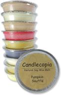 🕯️ indulge in candlecopia's strongly scented wax melt cup set: vanilla hazelnut, pumpkin soufflé, seriously cinnamon, baked apple pie & more! логотип