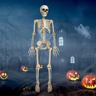 evoio inch skeleton halloween decorations logo