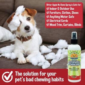 img 3 attached to 🐶 Bodhi Dog Premium Bitter Apple No Chew Spray – Effective Natural Training Aid to Repel Dogs from Chewing and Biting – Made in USA – 8oz