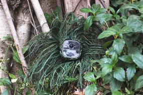 img 1 attached to 🍃 Ghillie Skin - Mossy Oak Camouflage Case Cover for Arlo GO Wire-Free Cameras, Compatible with Arlo GO Smart Security Home Camera