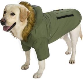 img 4 attached to 🐶 Winter Waterproof Reflective Dog Down Jacket Hoodie Coat – Miaododo, Thick Padded Warm Clothes for Medium to Large Dogs with Real Pocket