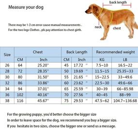 img 1 attached to 🐶 Winter Waterproof Reflective Dog Down Jacket Hoodie Coat – Miaododo, Thick Padded Warm Clothes for Medium to Large Dogs with Real Pocket