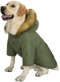 img 3 attached to 🐶 Winter Waterproof Reflective Dog Down Jacket Hoodie Coat – Miaododo, Thick Padded Warm Clothes for Medium to Large Dogs with Real Pocket