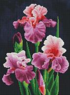 embroidery beginners cross stitch 14ct flowers 14 17x18 11inch logo