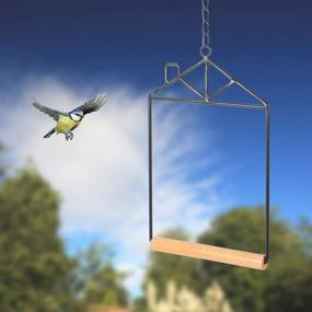 img 2 attached to 🐦 Natural Wood Bird Swing Hammock - Ideal Bird Toy for Parrot Cage: Perches for Cockatiel, Conure, Caiques, Parakeets, Budgie, Parrotlet - Swings & Perches