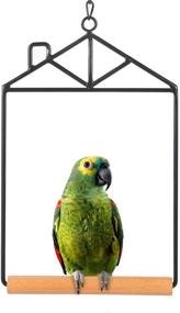 img 4 attached to 🐦 Natural Wood Bird Swing Hammock - Ideal Bird Toy for Parrot Cage: Perches for Cockatiel, Conure, Caiques, Parakeets, Budgie, Parrotlet - Swings & Perches