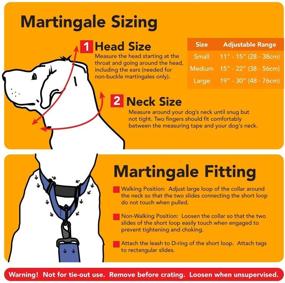 img 1 attached to 🐾 1.5" Martingale Dog Collar - Adjustable, Strong, and Comfy - Ideal for Training - Nylon - Made in USA by If It Barks