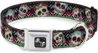 collar seatbelt buckle skulls zarape logo