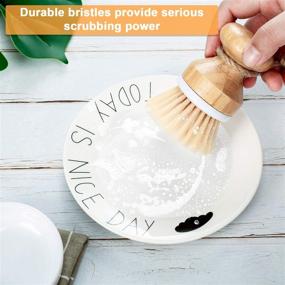 img 1 attached to 🧼 4-Piece Bamboo Palm Dish Brush Set with Holder - Includes 3 Household Pot Scrubber Brushes and 1 Kitchen Sink Cleaning Scrub Brush for Dishes, Pots, and Pans