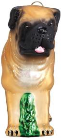 img 1 attached to Exquisite Old World Christmas Dog Collection Glass Blown Ornaments - English Mastiff Breeds for Your Festive Christmas Tree