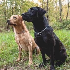 img 2 attached to 🐾 Enhance Control and Style with Terrain D.O.G. Laced Chain Slip Collar