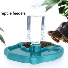 img 3 attached to 🐢 Tfwadmx Reptile Water Bottle: Automatic Feeder & Waterer for Turtle, Lizard, Tortoise, Chameleon - Convenient Pet Dispenser Bowl!