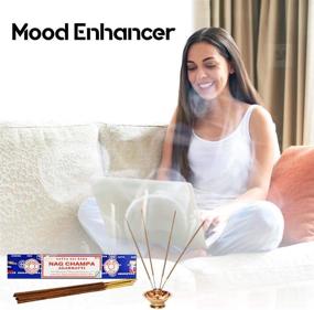 img 2 attached to Authentic Satya Sai Baba Nag Champak Agarbatti Incense Sticks, 180g - A Fragrant Delight!