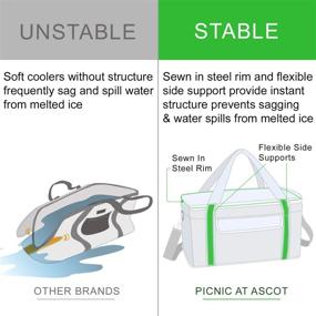img 1 attached to Picnic Ascot Ultimate Qualities Collapsible
