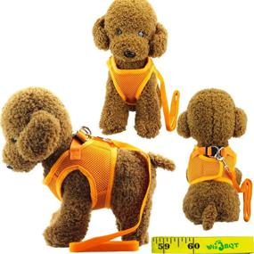 img 2 attached to 🐶 Wiz BBQT Soft Adjustable Mesh Dog Puppy Cat Pet Vest Harness and Leash Set: Ultimate Comfort and Control for Dogs, Cats, and Pets