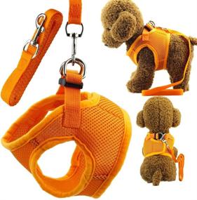 img 4 attached to 🐶 Wiz BBQT Soft Adjustable Mesh Dog Puppy Cat Pet Vest Harness and Leash Set: Ultimate Comfort and Control for Dogs, Cats, and Pets