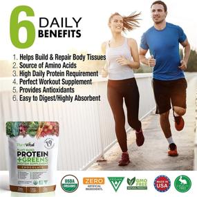 img 3 attached to PlantVital Raw Cocoa Chocolate Protein Powder: Vegan, Organic, 🌱 Gluten Free - Packed with 19 Superfoods, Veggies, Probiotics and More!