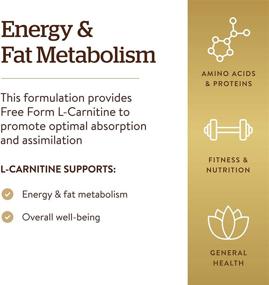 img 1 attached to 💊 Сольгар Капсулы левокарнитина 250 мг - Повышает энергию и обмен жирами - Без ГМО, веганские, без глютена, без молока, кошерные - 90 капсул на растительной основе - 45 порций.