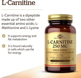 img 2 attached to 💊 Solgar L-Carnitine 250mg Capsules - Boosts Energy & Fat Metabolism - Non-GMO, Vegan, Gluten-Free, Dairy-Free, Kosher - 90 Veggie Caps - 45 Servings