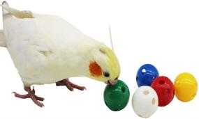 img 4 attached to 🐦 QBLEEV 5 Pack Bird Bell Balls Sets: Colorful Parrot Cage Treat Toy for Chewing, Playing, and Training - Perfect for Cockatiel, Parakeet, Conure, Budgie