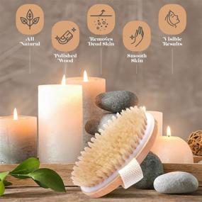 img 1 attached to Natural Bristle Dry Skin Body Brush - Enhances Skin Health and Beauty - Detoxifies and Exfoliates - Reduces Cellulite, Boosts Lymphatic Functions, Stimulates Blood Circulation