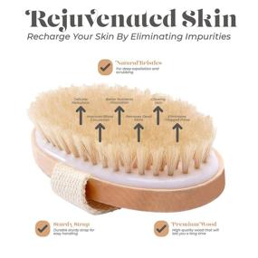 img 2 attached to Natural Bristle Dry Skin Body Brush - Enhances Skin Health and Beauty - Detoxifies and Exfoliates - Reduces Cellulite, Boosts Lymphatic Functions, Stimulates Blood Circulation