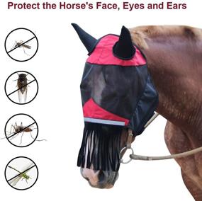 img 3 attached to 🐴 Premium Coolrunner Horse Fly Mask: Breathable & Soft Mesh with Ears for Effective Fly Protection