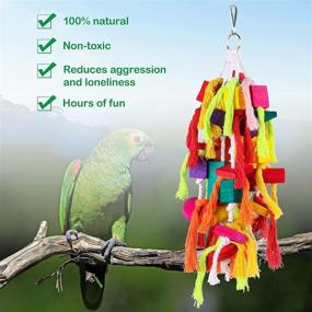 img 2 attached to Rypet Large and Small Parrot Chewing Toys - Premium Bite Toys for Conures, 🐦 Cockatiels, African Grey, and Other Amazon Parrots - Wooden Block Tearing Toys for Parrot Cages