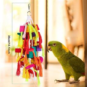 img 3 attached to Rypet Large and Small Parrot Chewing Toys - Premium Bite Toys for Conures, 🐦 Cockatiels, African Grey, and Other Amazon Parrots - Wooden Block Tearing Toys for Parrot Cages