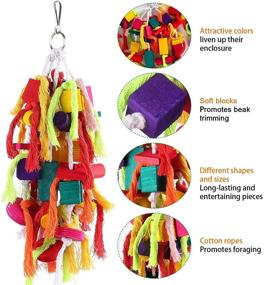 img 1 attached to Rypet Large and Small Parrot Chewing Toys - Premium Bite Toys for Conures, 🐦 Cockatiels, African Grey, and Other Amazon Parrots - Wooden Block Tearing Toys for Parrot Cages