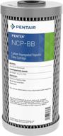 pentek ncp bb 🔳 carbon impregnated polyester cartridge filter logo