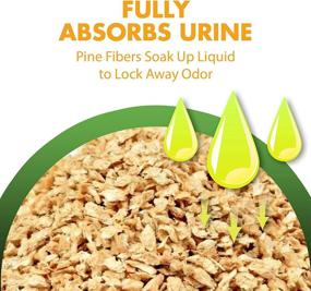 img 2 attached to Effective Odor Control: Arm & Hammer Feline Pine Platinum Non-Clumping Cat Litter 18lb with Baking Soda