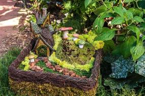 img 1 attached to 🧚 Enhance Your Fairy Garden with SuperMoss (50310) Fairy Garden Kit - Mixed Mosses (4 oz.)