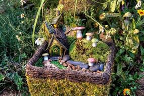 img 2 attached to 🧚 Enhance Your Fairy Garden with SuperMoss (50310) Fairy Garden Kit - Mixed Mosses (4 oz.)