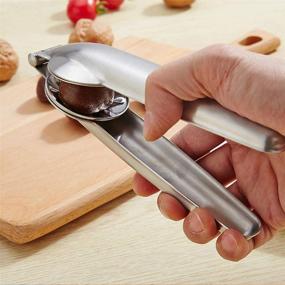 img 3 attached to 🌰 Premium SGQCAR Nutcracker Chestnut Clip: Efficient Walnut Pliers & Stainless Steel Nut Opener