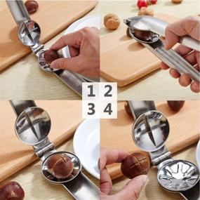 img 2 attached to 🌰 Premium SGQCAR Nutcracker Chestnut Clip: Efficient Walnut Pliers & Stainless Steel Nut Opener