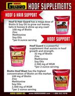 horse guard hoof and hair guard: equine hoof and coat supplement with amino acids, biotin, methionine, and soy oil logo