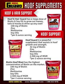 img 2 attached to Horse Guard Hoof and Hair Guard: Equine Hoof and Coat Supplement with Amino Acids, Biotin, Methionine, and Soy Oil