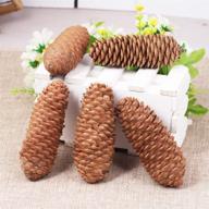 10 pieces of natural pinecones spruce christmas decorative pine cones for home decoration logo